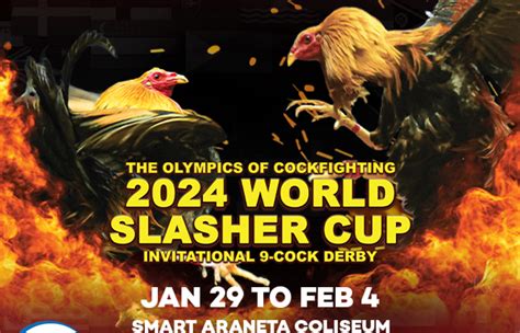 world slasher cup 2019 full video|JETSWEATER V.S CHARLIE GAYOSO on Vimeo.